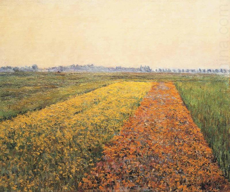 Gustave Caillebotte The Yellow Fields at Gennevilliers china oil painting image